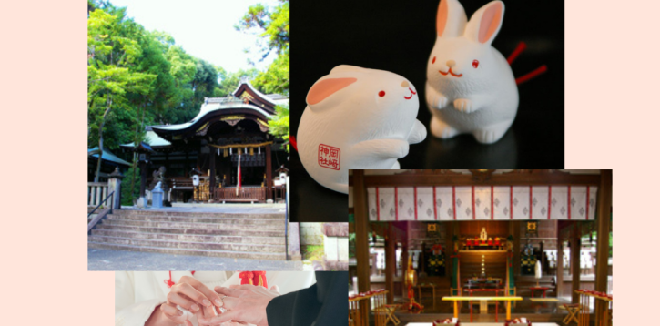 スタッフおすすめ神社紹介